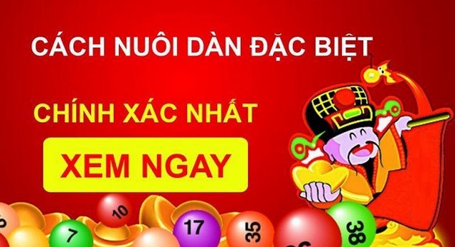 Kinh nghiệm soi cầu trực tuyến hay